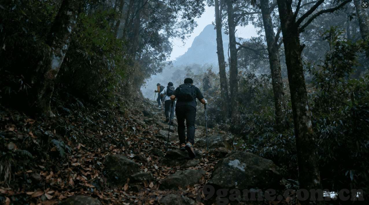 网易彩票app下载-网易彩票App下载体验详解与用户指南